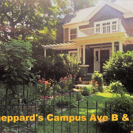 Sheppard'S Campus B&B Kingston Eksteriør billede