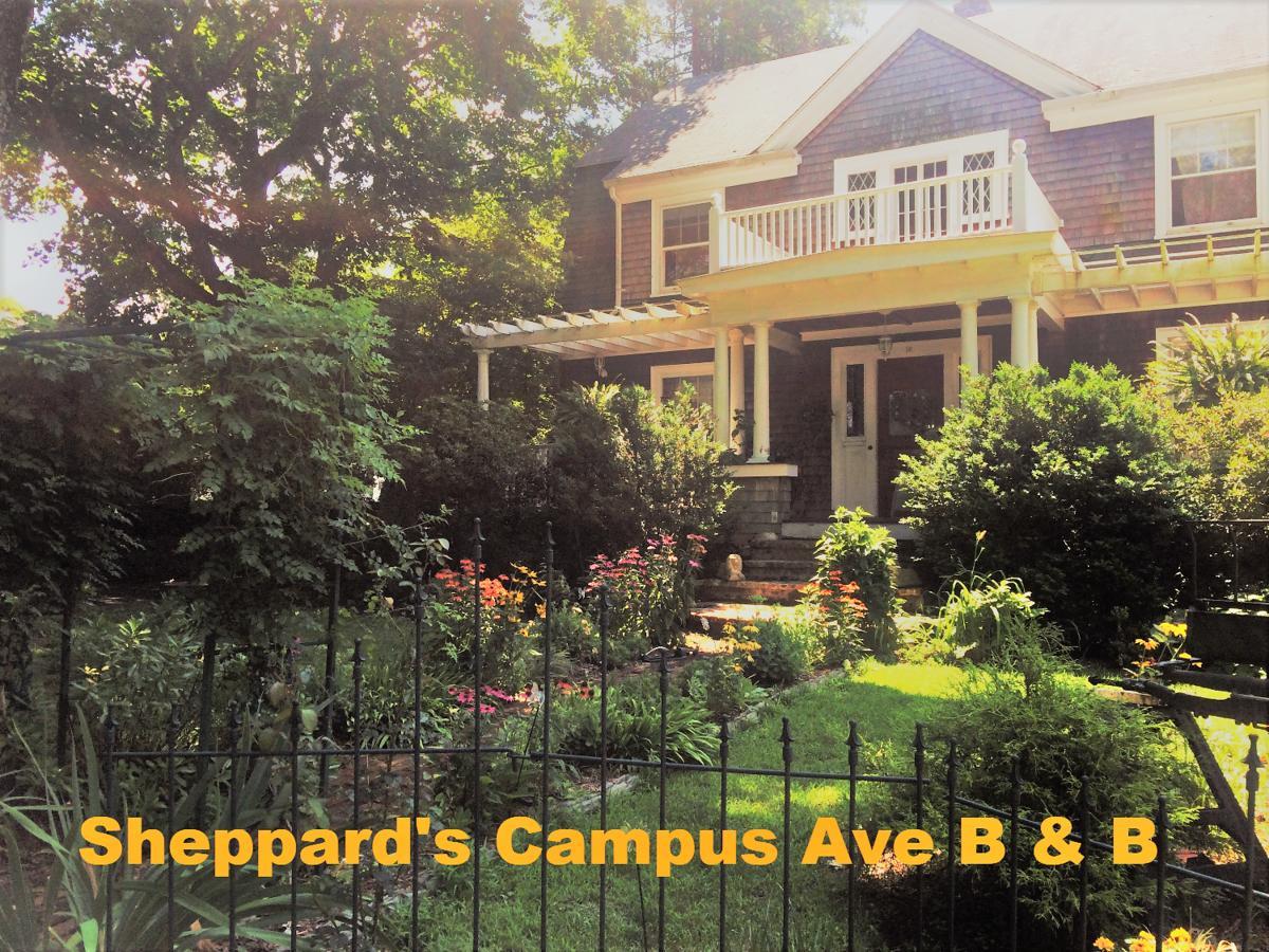 Sheppard'S Campus B&B Kingston Eksteriør billede